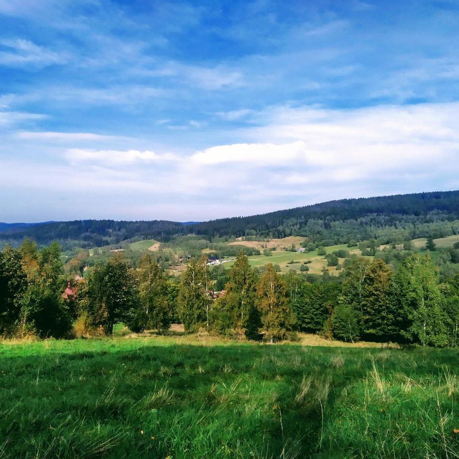 Apartament Stara Morawa - Zew Natury