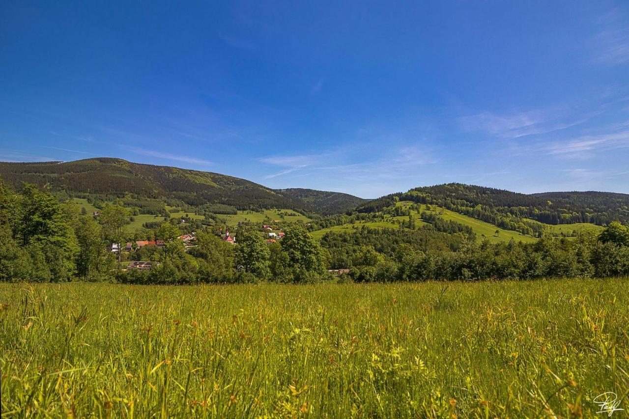 Apartament Stara Morawa - Zew Natury Stronie Śląskie